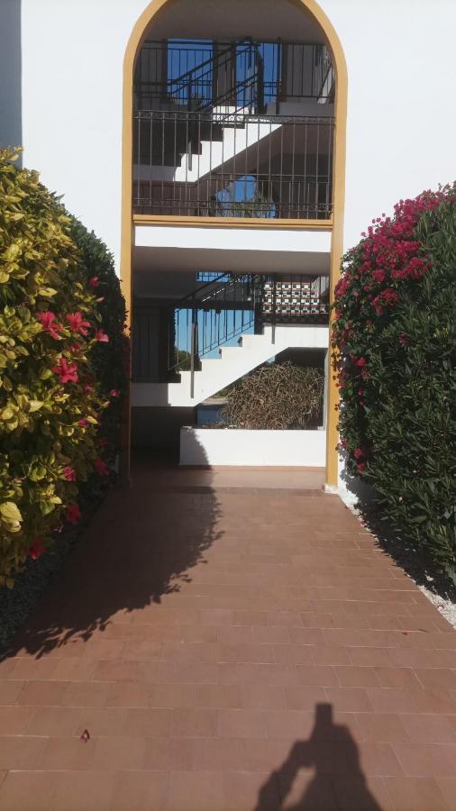 La Zenia Molino Blanco Apartament *